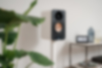 Galerie Bild 5 von 17 