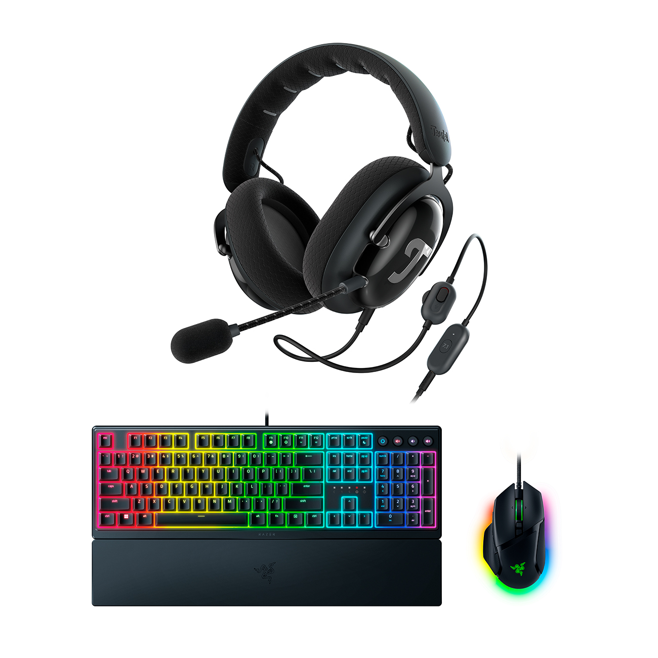 ZOLA + Ornata + Basilisk